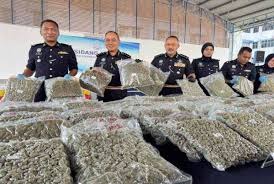 top-news
